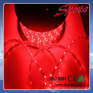 led strip light SMD 5050 220V